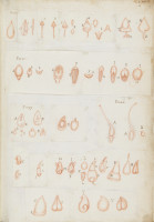 image RS.16239