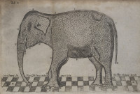 RS.18932 image RS.18932