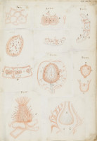 RS.16249 image RS.16249