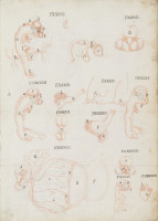 RS.16259 image RS.16259