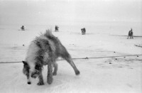 RS.11990 image RS.11990