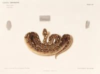 RS.20863 image RS.20863