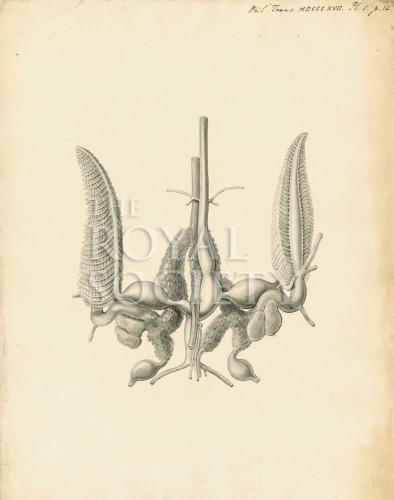 PT_73_6_1 image PT_73_6_1