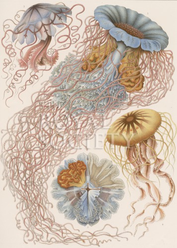 kunstformen_8 image kunstformen_8