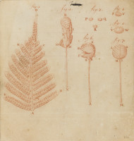 image RS.15808