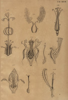 RS.21377 image RS.21377