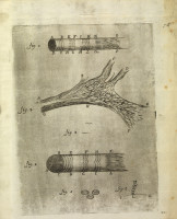 RS.9105 image RS.9105