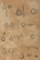 image RS.21397