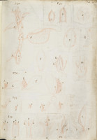 RS.16210 image RS.16210