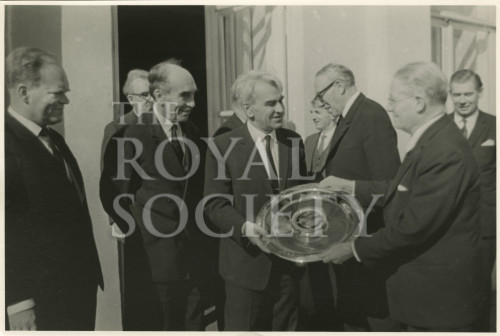 ms_917_09 image ms_917_09