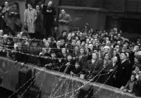 RS.12039 image RS.12039