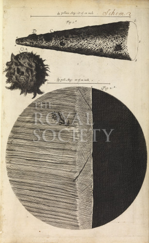 Hooke, R_Micrographia_1665_needle_schemII_fig1&2 image Hooke, R_Micrographia_1665_needle_schemII_fig1&2