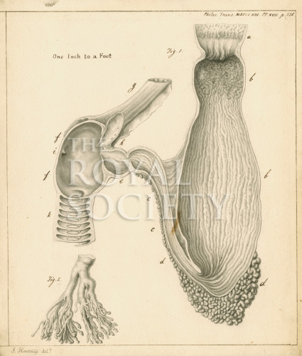 PT_73_4_14 image PT_73_4_14