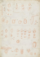 RS.16240 image RS.16240