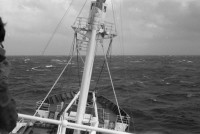 RS.12058 image RS.12058