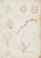 RS.16250 image RS.16250