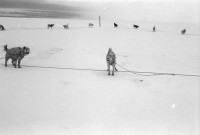 RS.11991 image RS.11991