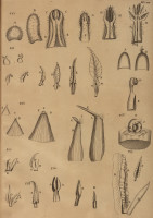 image RS.21357