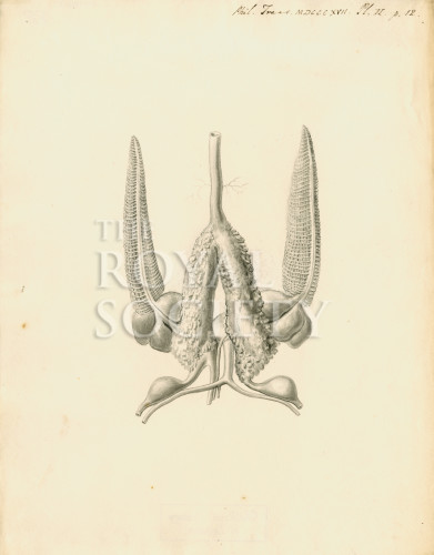 PT_73_6_2 image PT_73_6_2
