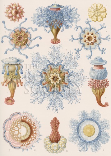 kunstformen_17 image kunstformen_17